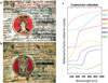 Thumbnail: FIG. 2 Refer to the following caption and surrounding text.