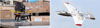 Thumbnail: FIG. 1 Refer to the following caption and surrounding text.