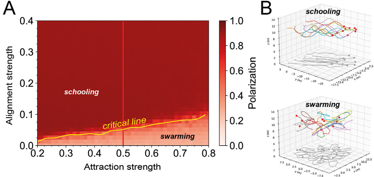 FIG. 2 Refer to the following caption and surrounding text.