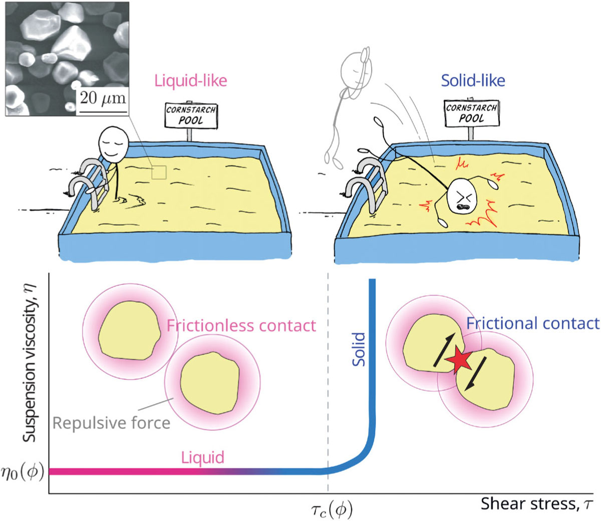 FIG. 2 Refer to the following caption and surrounding text.