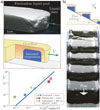 Thumbnail: FIG. 4 Refer to the following caption and surrounding text.